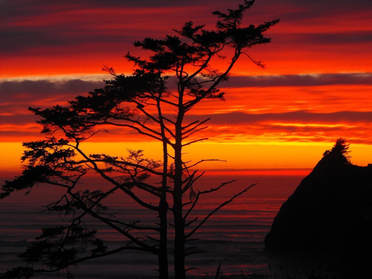 Agate Beach Motel Newport Kültér fotó